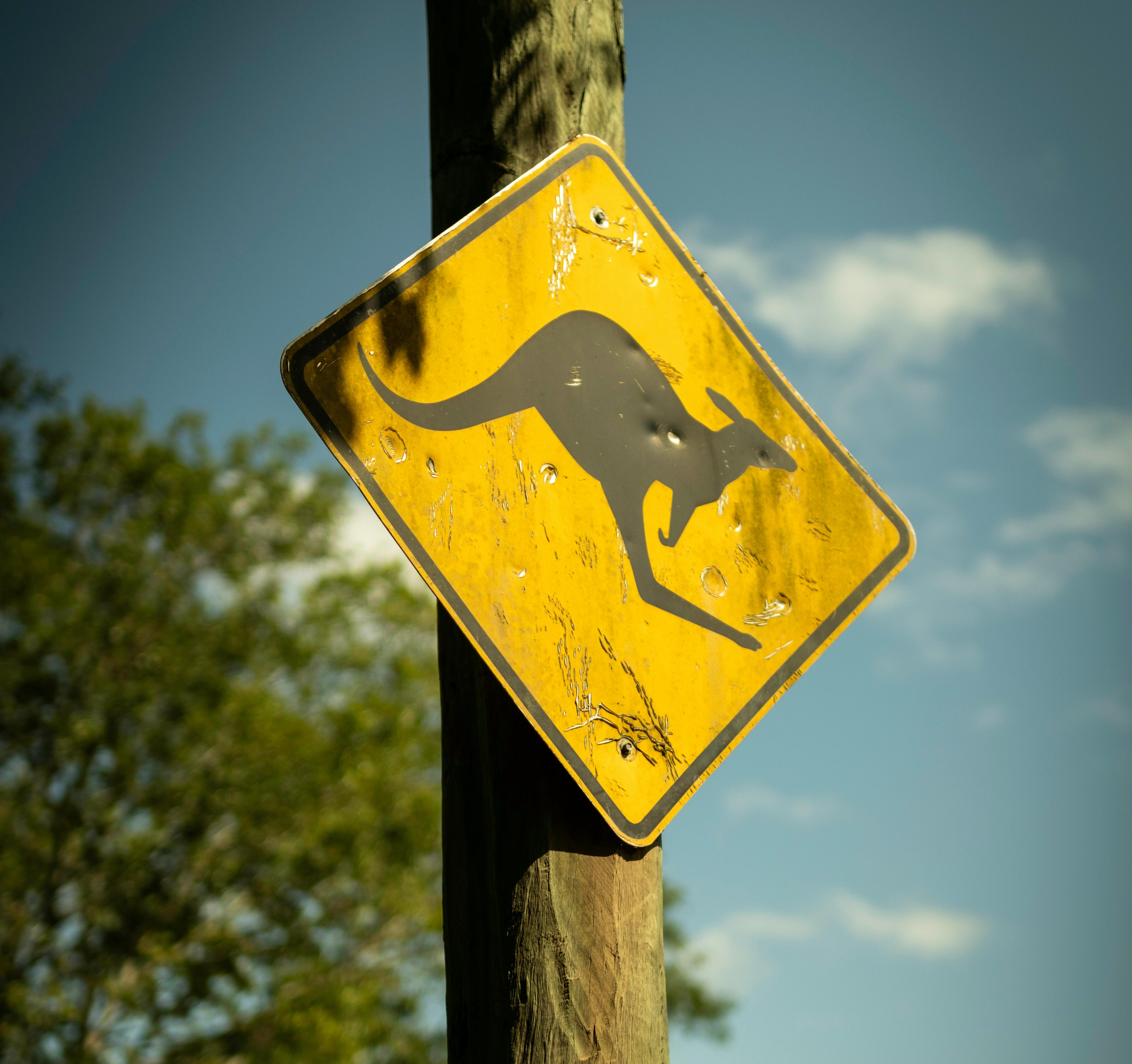 My Australian Partner Visa Journey – Double 820/801 Grant