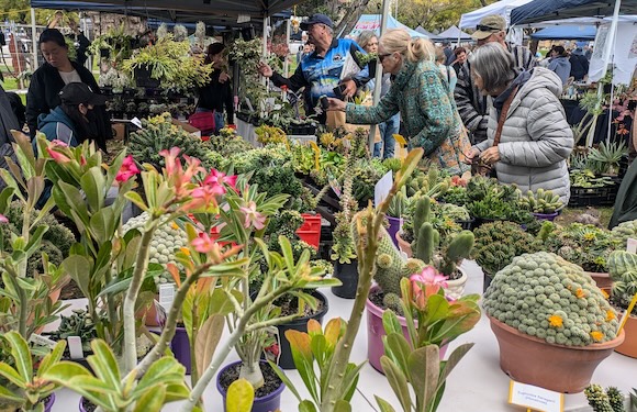 What’s on Perth June 2026